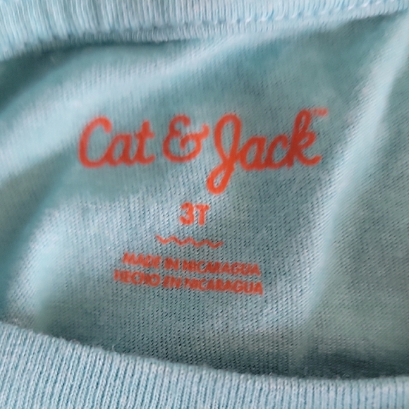 Cat & Jack Blue and Orange Short Sleeve Tees-6 Pack - Picture 5 of 11
